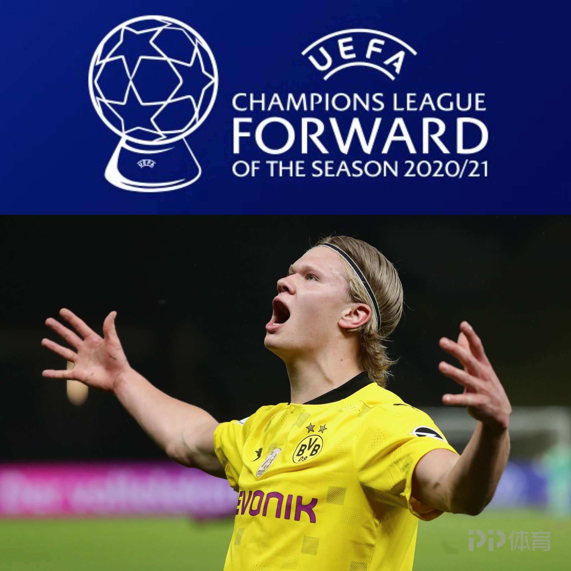 黄蜂全队9人上双 狂胜爵士55分