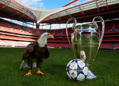 广东宏远今日早报！杜锋深夜发声，胡明轩拒绝轮休，崔永熙更新康复情况